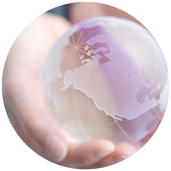 mundo-valores Veyron Mexico IFS ERP